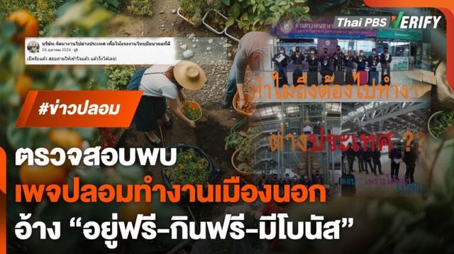 ตรวจสอบพบ : เพจปลอมหาแรงงานไป ตปท. อ้างที่พัก-อาหารฟรี-มีโบนัส