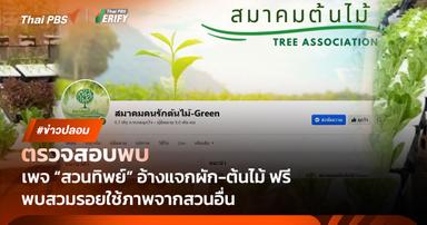 ตรวจสอบพบ : เพจปลอมยิงโฆษณาอ้างแจก “ผัก-ต้นไม้” ฟรี พบคนหลงดูกว่า 6 ล้านครั้ง