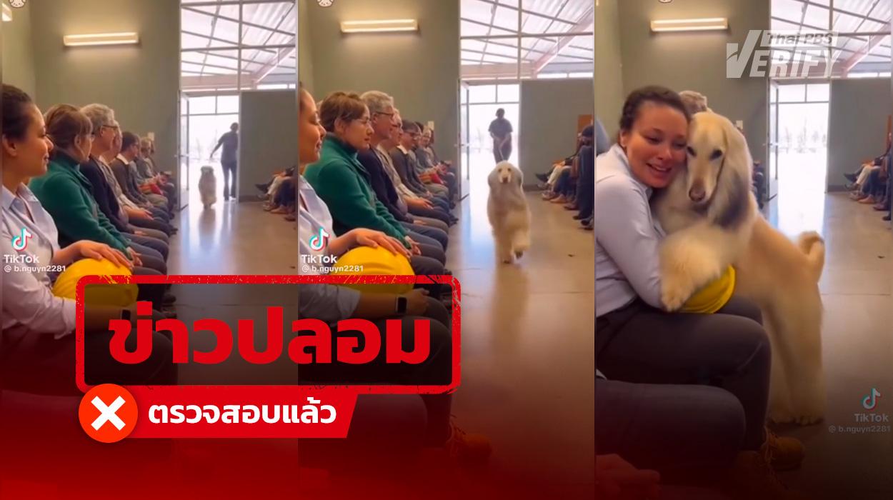คลิปสุดซึ้ง “น้องหมาเลือกเจ้าของเอง” จนสะเทือนใจชาวเน็ตนับล้าน ที่แท้เป็นคลิป AI