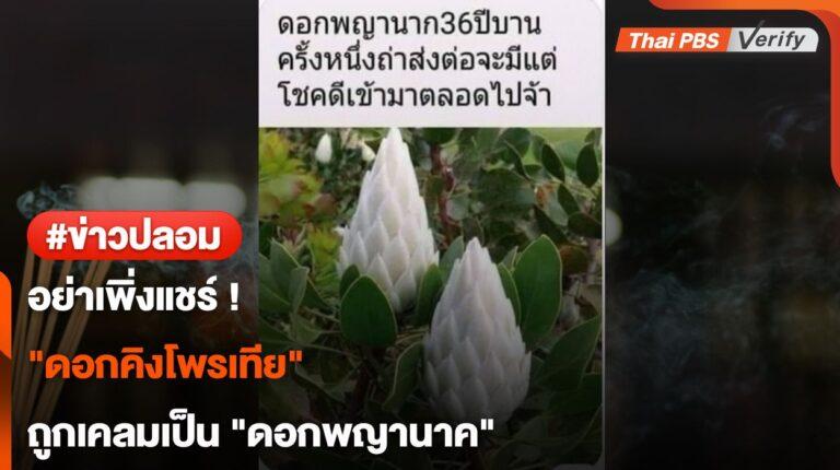 อย่าเพิ่งแชร์ ! “ดอกคิงโพรเทีย” ถูกเคลมเป็น “ดอกพญานาค”
