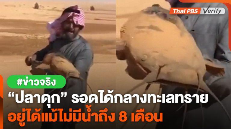 “ปลาดุก” รอดได้กลางทะเลทราย อยู่ได้แม้ไม่มีน้ำถึง 8 เดือน