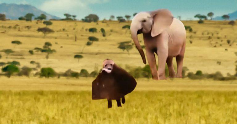 Verification Found: Fake Clip of “an Elephant” Chasing “a Hyena” for Its Ear