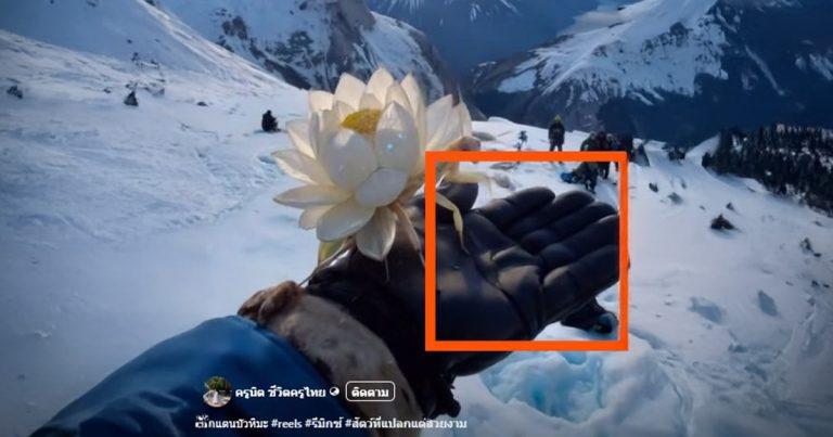 verified: “Snow Lotus Grasshopper” clip with 10 million views verified as AI-Generated
