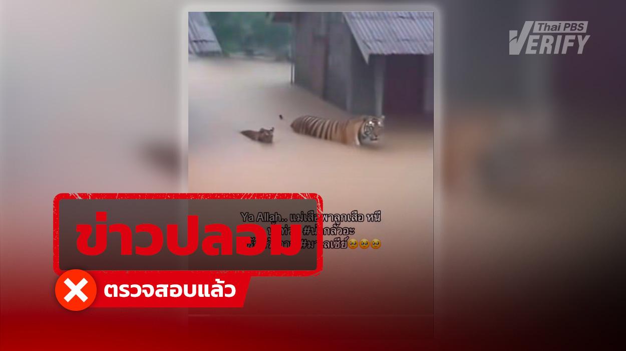 คลิปไวรัลเสือลุยน้ำท่วมมาเลเซีย แท้จริงสร้างด้วย AI