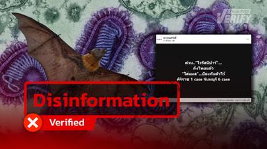 False claim of Nipah virus: DDC confirms no case found in Thailand