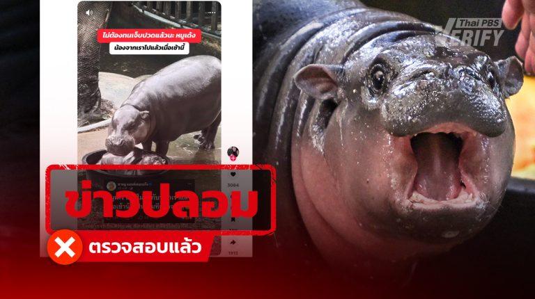 โพสต์อ้าง “หมูเด้ง” ลาโลกแล้ว ตรวจสอบพบเป็นข่าวปลอม ลวงคนเข้าเว็บพนัน