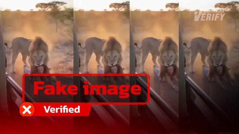 Viral Video Showing Lion Dragging Woman Reaches 3 Million Views, Revealed to Be AI-Generated