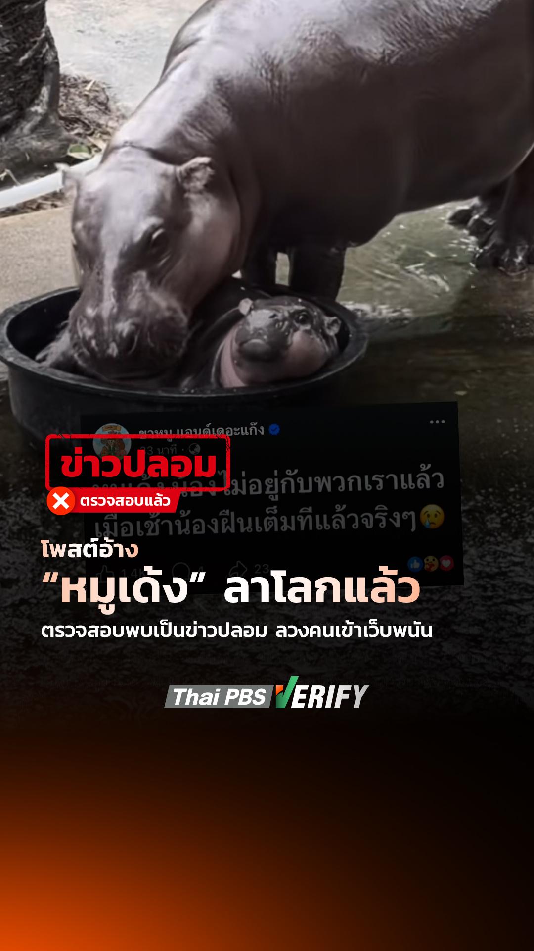 โพสต์อ้าง “หมูเด้ง” ลาโลกแล้ว ตรวจสอบพบเป็นข่าวปลอม ลวงคนเข้าเว็บพนัน : Thai PBS Verify