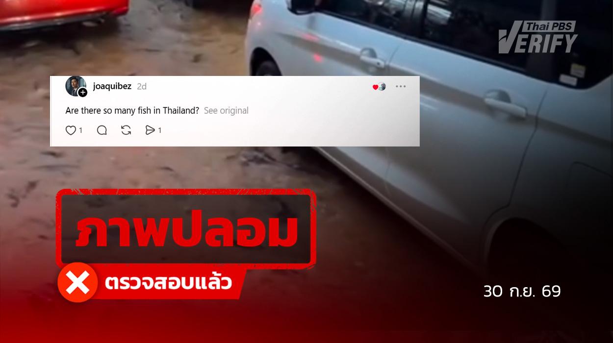 คลิปปลาแหวกว่ายในน้ำท่วมถนนสุขุมวิท แท้จริงเป็นภาพ “AI Slop”