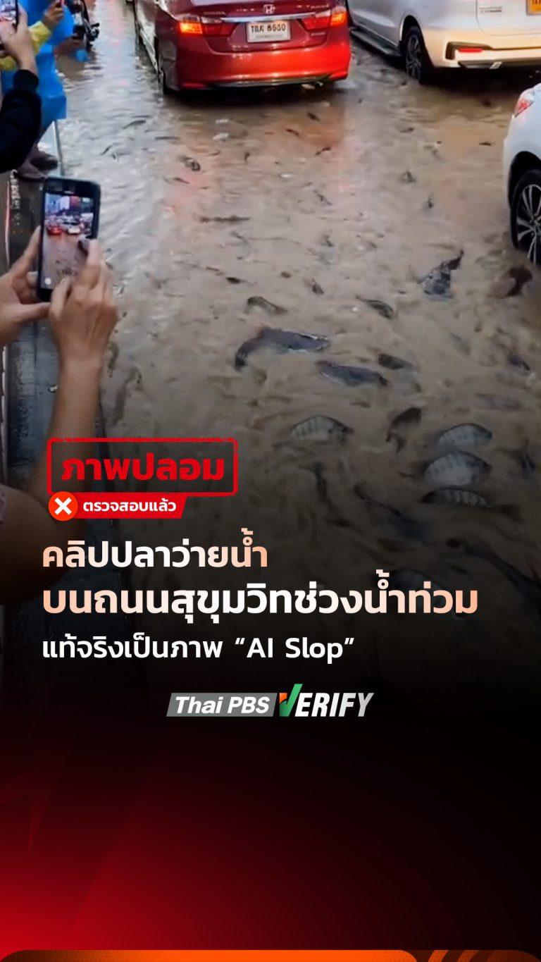 คลิปปลาว่ายน้ำบนถนนสุขุมวิทช่วงน้ำท่วม แท้จริงเป็นภาพ “AI Slop” : Fact-Check ให้ชัวร์ กับ Thai PBS Verify