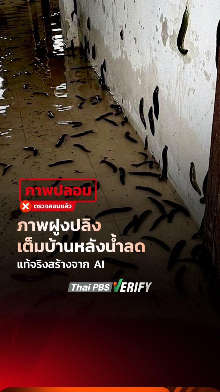 ภาพฝูงปลิงเต็มบ้านหลังน้ำลด แท้จริงสร้างจาก AI : Fact-Check ให้ชัวร์ กับ Thai PBS Verify