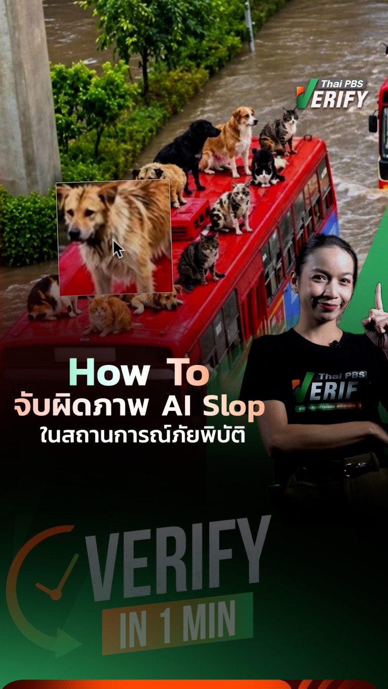 แยกให้ออกก่อนเชื่อ! 4 วิธีจับผิด “ภาพ AI น้ำท่วม” รู้ทัน AI Slop กับ Verify in 1 Min : Thai PBS Verify