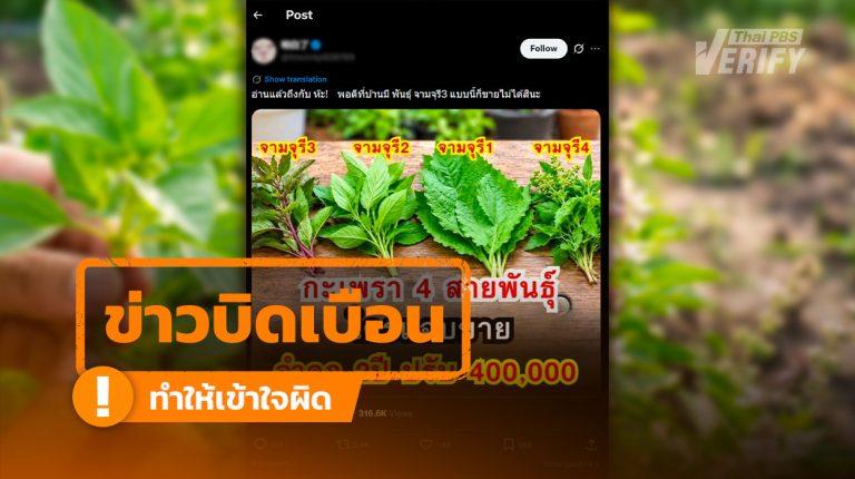 โพสต์อ้าง "ห้ามขายกะเพรา "จามจุรี" ฝ่าฝืนคุก 2 ปี ปรับ 4 แสน พบชื่อกะเพราไม่มีจริง